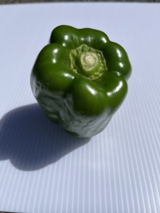 おいしいピーマンの選び方