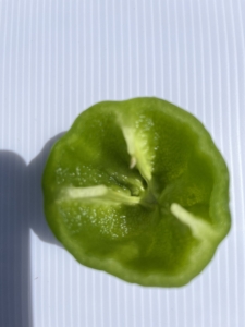 おいしいピーマンの選び方